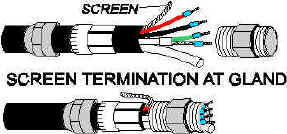 Termination Gland