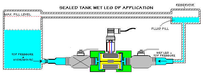 Wet Leg DP
